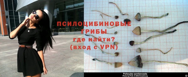 герыч Арсеньев