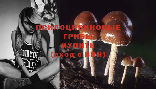 герыч Арсеньев