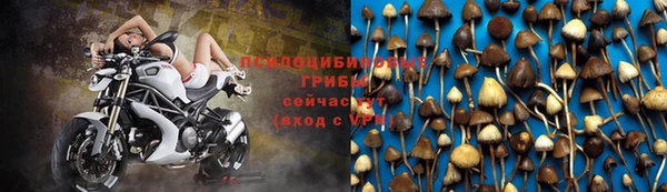 марки nbome Аркадак