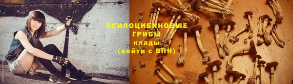 марки nbome Аркадак
