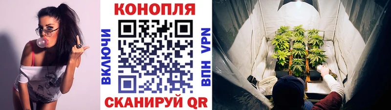 МАРИХУАНА Bruce Banner Феодосия